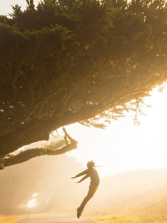 Frases Motivacionais para uma Vida Mais Leve