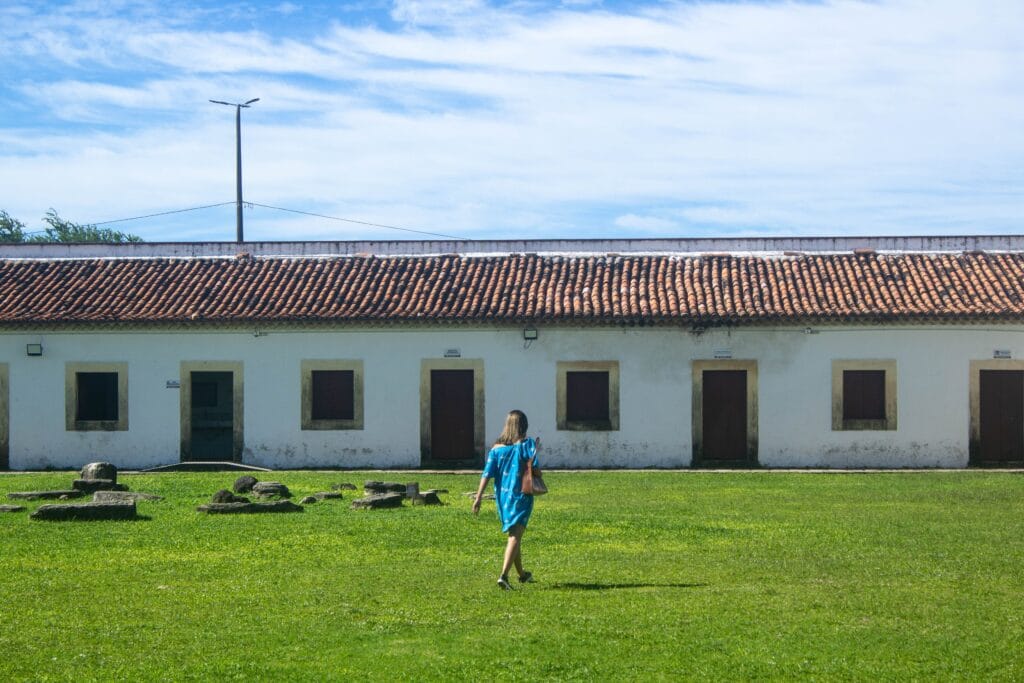 Gratidão e Vida Simples