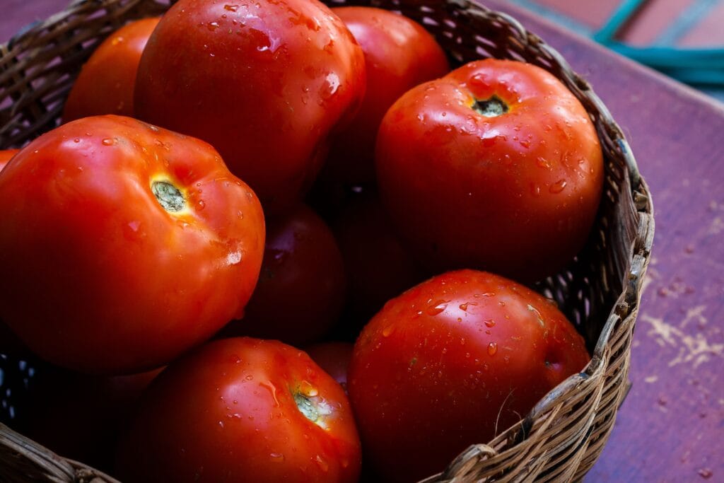 Como Conservar Frutas, Verduras e Legumes